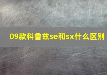 09款科鲁兹se和sx什么区别