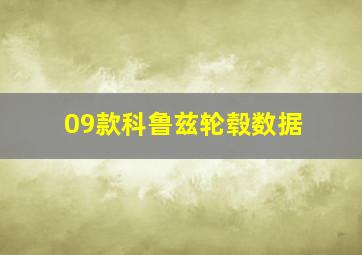 09款科鲁兹轮毂数据