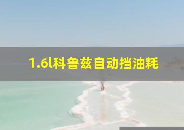 1.6l科鲁兹自动挡油耗