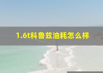 1.6t科鲁兹油耗怎么样