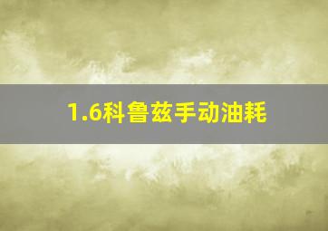 1.6科鲁兹手动油耗