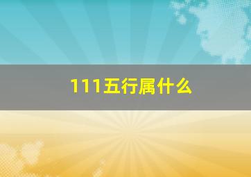 111五行属什么