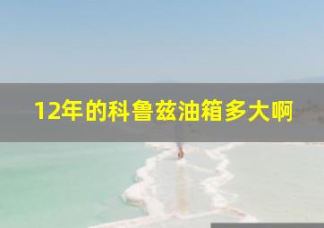 12年的科鲁兹油箱多大啊