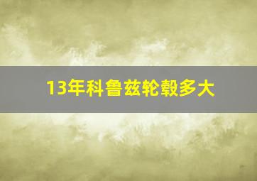 13年科鲁兹轮毂多大