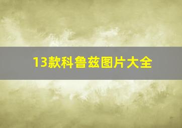 13款科鲁兹图片大全