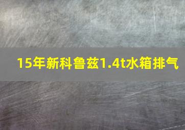 15年新科鲁兹1.4t水箱排气