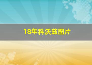 18年科沃兹图片