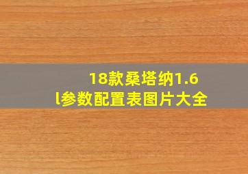 18款桑塔纳1.6l参数配置表图片大全