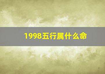 1998五行属什么命