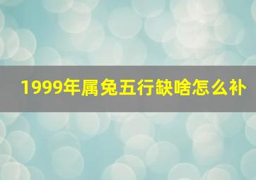 1999年属兔五行缺啥怎么补