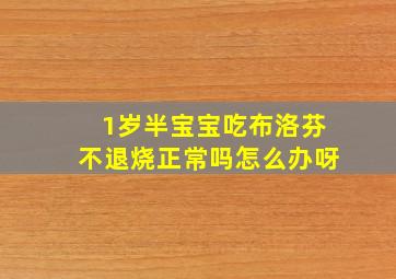 1岁半宝宝吃布洛芬不退烧正常吗怎么办呀