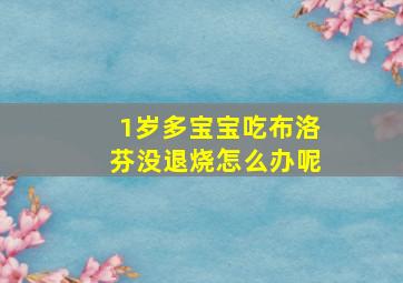 1岁多宝宝吃布洛芬没退烧怎么办呢