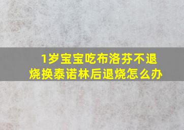 1岁宝宝吃布洛芬不退烧换泰诺林后退烧怎么办