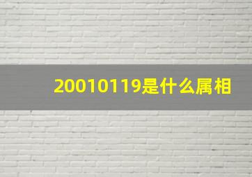 20010119是什么属相