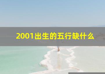 2001出生的五行缺什么