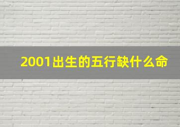 2001出生的五行缺什么命