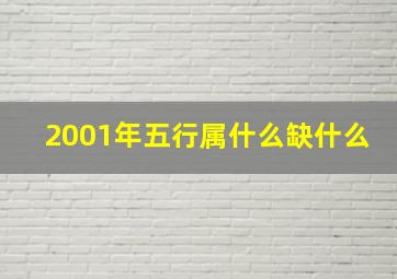 2001年五行属什么缺什么