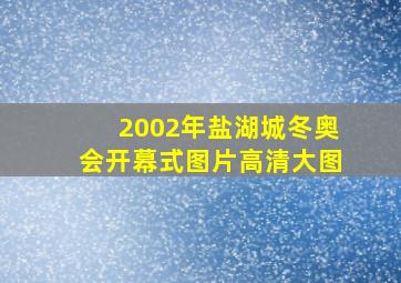 2002年盐湖城冬奥会开幕式图片高清大图