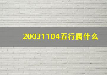 20031104五行属什么