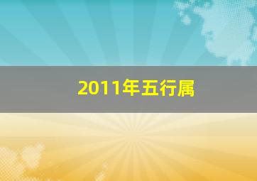 2011年五行属