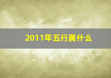 2011年五行属什么