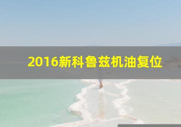 2016新科鲁兹机油复位