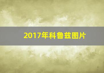 2017年科鲁兹图片