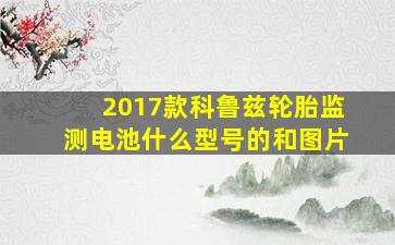 2017款科鲁兹轮胎监测电池什么型号的和图片