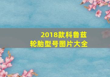 2018款科鲁兹轮胎型号图片大全