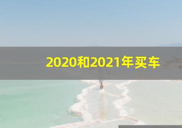 2020和2021年买车