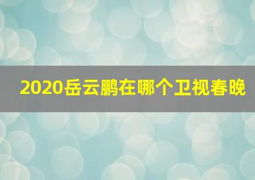 2020岳云鹏在哪个卫视春晚