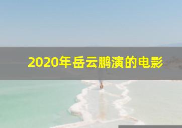 2020年岳云鹏演的电影