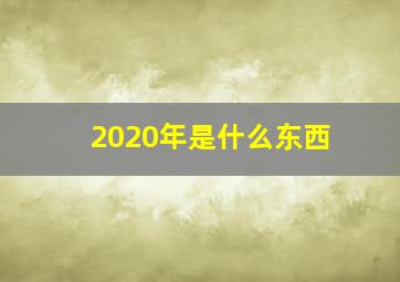 2020年是什么东西