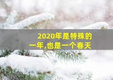 2020年是特殊的一年,也是一个春天