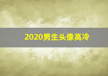 2020男生头像高冷