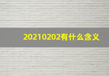 20210202有什么含义