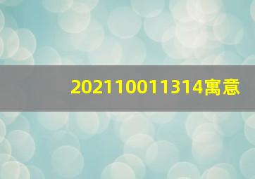 202110011314寓意