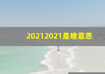 20212021是啥意思