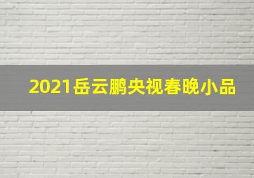 2021岳云鹏央视春晚小品