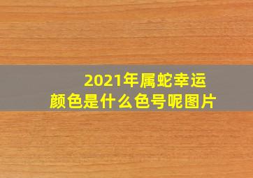 2021年属蛇幸运颜色是什么色号呢图片