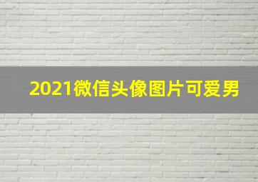 2021微信头像图片可爱男