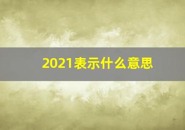 2021表示什么意思