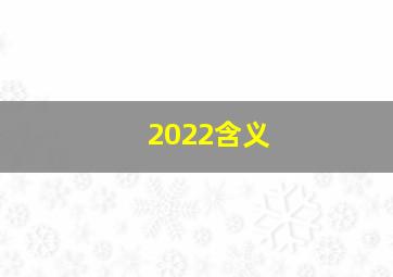 2022含义