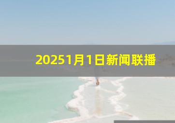 20251月1日新闻联播