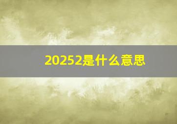 20252是什么意思