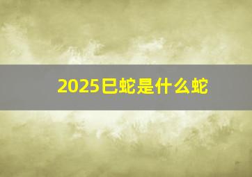 2025巳蛇是什么蛇