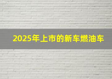 2025年上市的新车燃油车