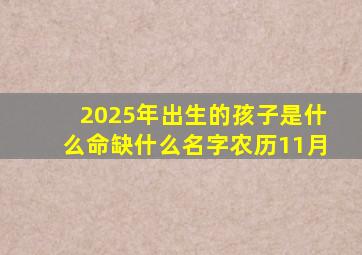 2025年出生的孩子是什么命缺什么名字农历11月