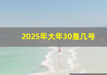 2025年大年30是几号