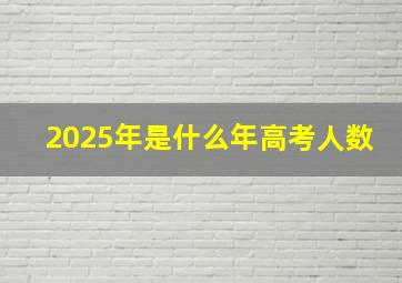 2025年是什么年高考人数